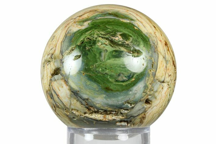 Gary Green Jasper (Larsonite) Bog Wood Sphere - Oregon #369041